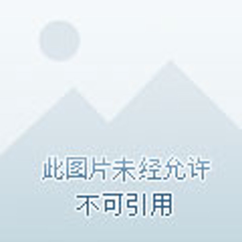 自然语言处理：解决对话中的常见问题